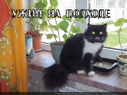 ужин на подходе