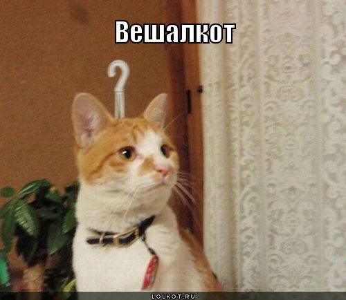 вешалкот