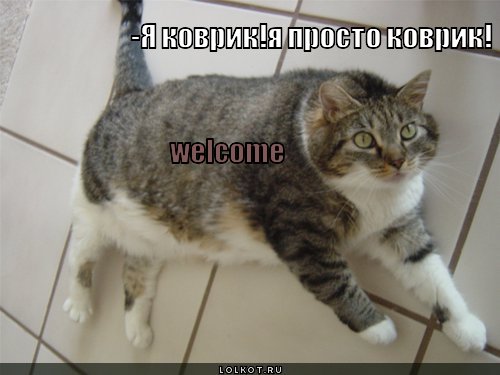 welcome 