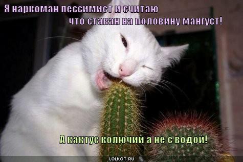 я наркоман пессимист