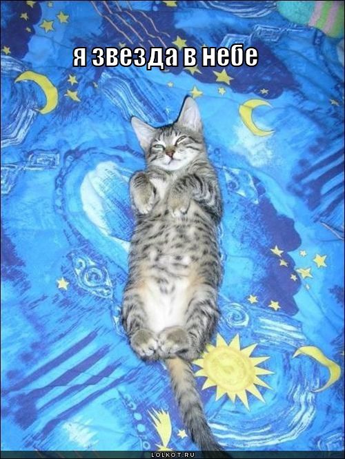 я звезда в небе