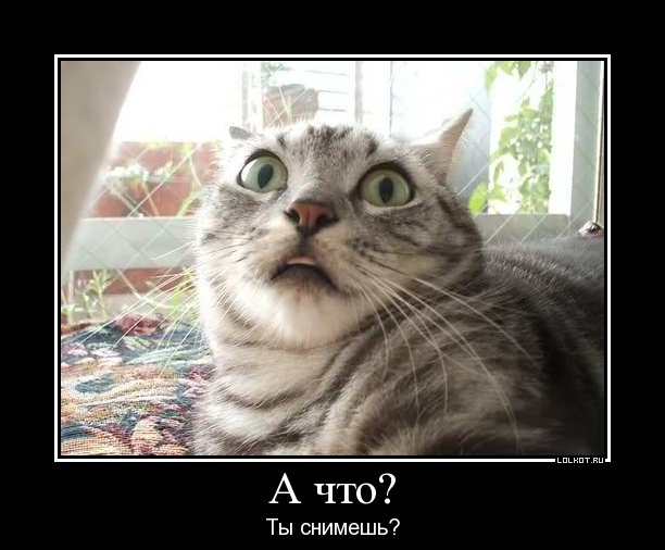 а что?