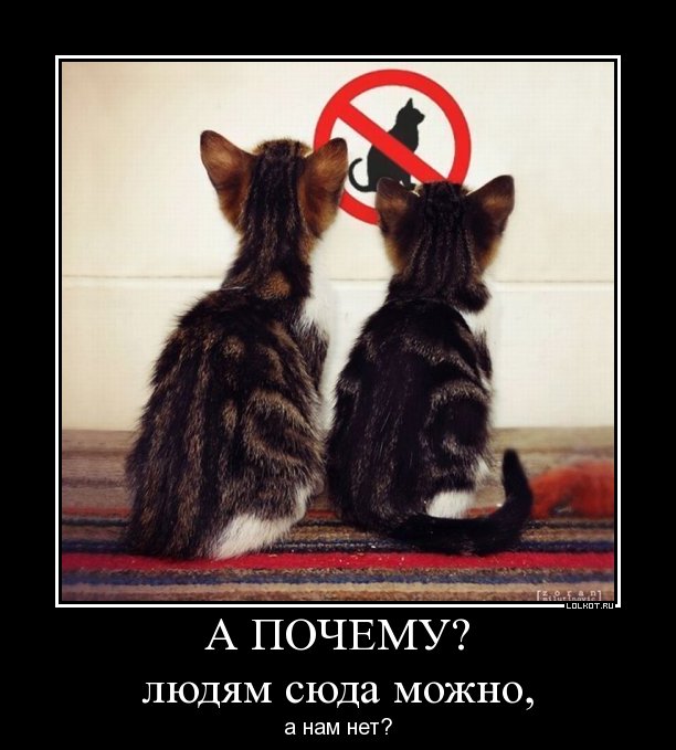 а почему?