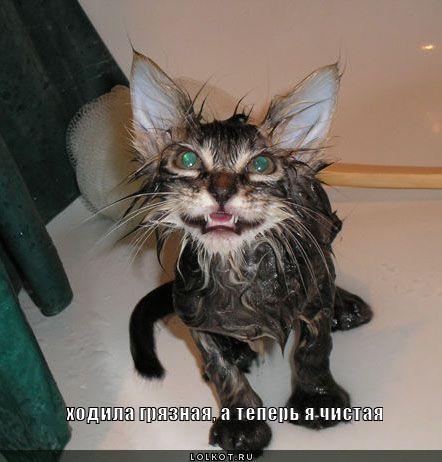 а теперь чистая