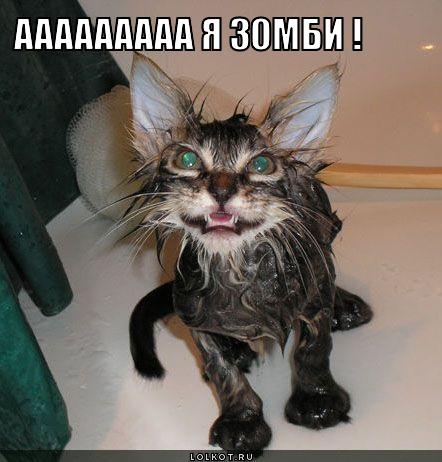 ааааааааа я зомби !
