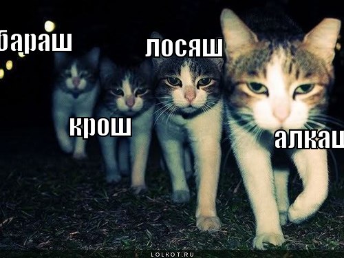 алкаш