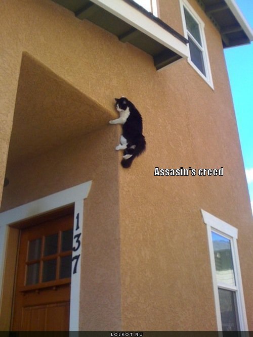assasin's creed