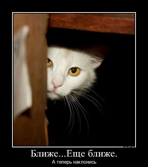 ближе...