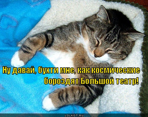 бухти мне
