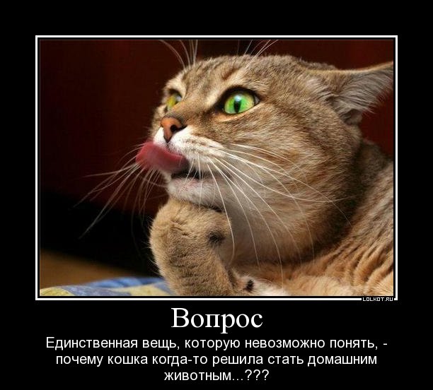 чо ??