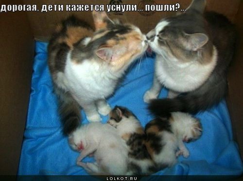 дети уснули