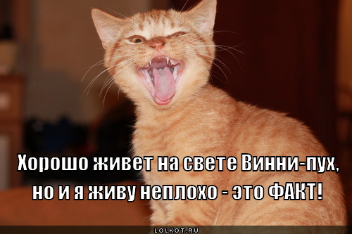 факт