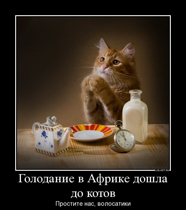 голодание