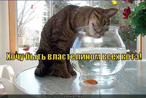 хочу