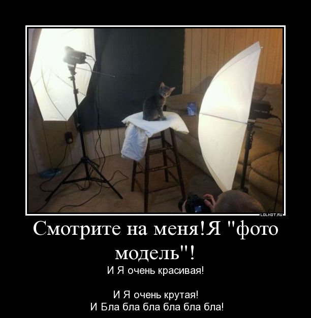 и бла бла бла