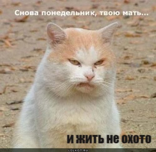 и жить не охото