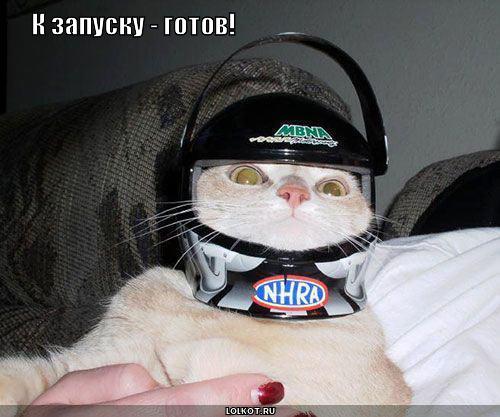 к запуску - готов!