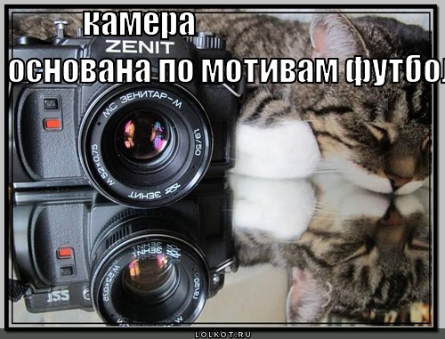 камера