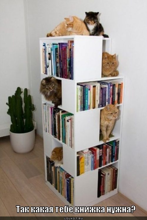  книжка нужна?