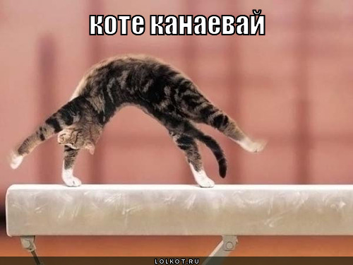 коте канаевай