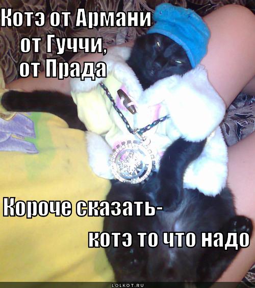 котэ от армани
