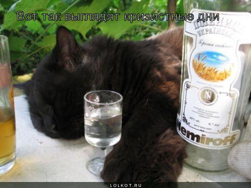 кризистные дни