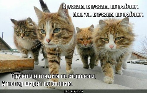 кружим, кружим