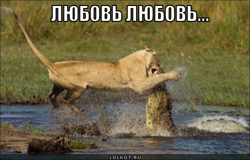 любовь любовь...