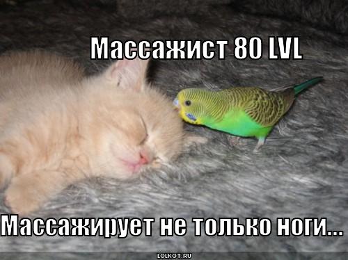массажист 