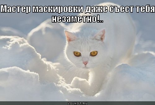 мастер маскировки