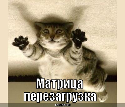матрица  перезагрузка