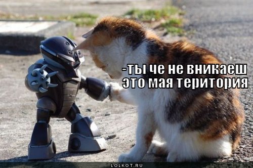 мая територия