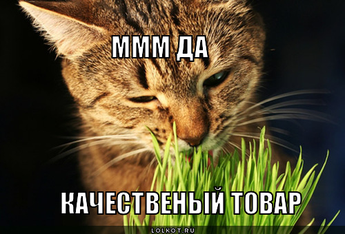 ммм да 