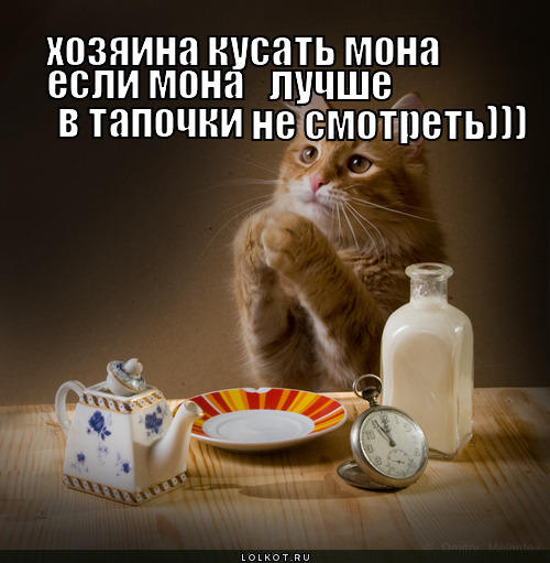мона если мона