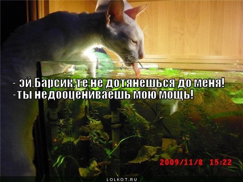 мощь