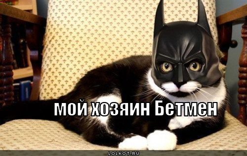 мой хозяин бетмен