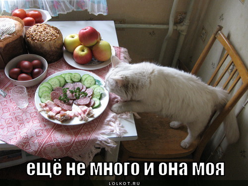 моя