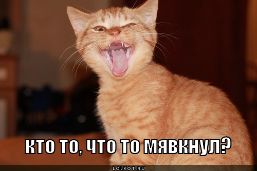 мявкнул