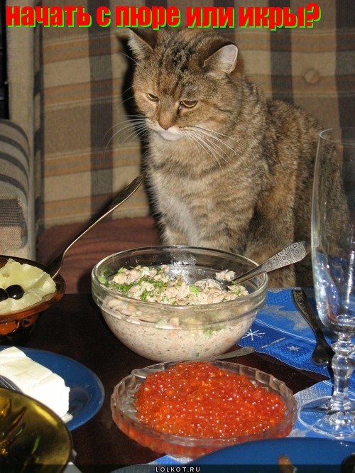 начать с пюре?