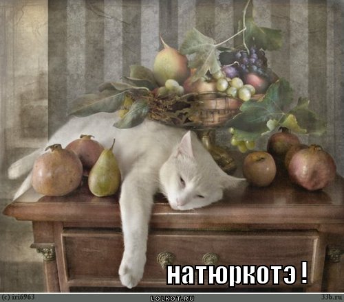 натюркотэ