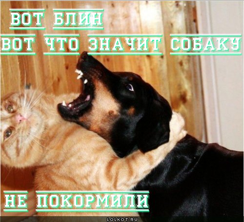  не покормили