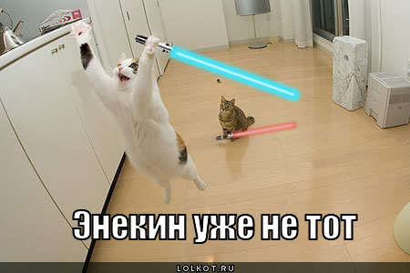не торт