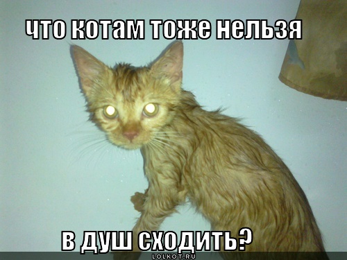 нельзя?