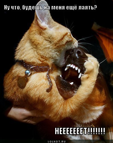 нееееееет!!!!!!!