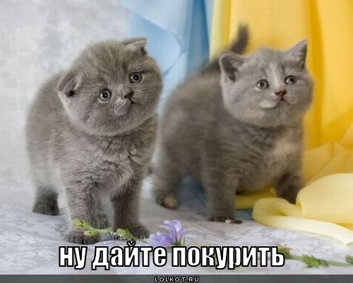 ну дайте покурить