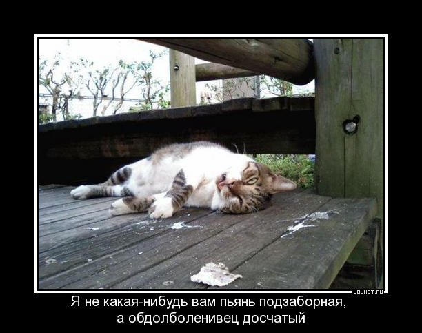 обдолболенивец