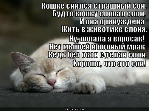 облом