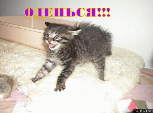 оденься!!!