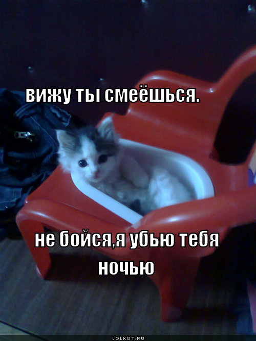 он видит ...