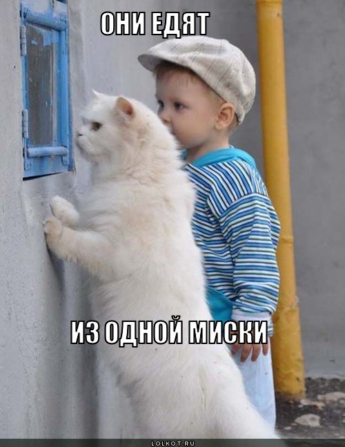 они едят